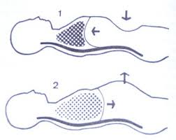 Respiration abdominale