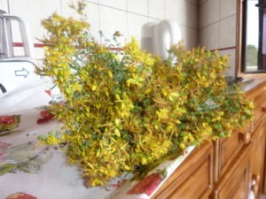 P1010200