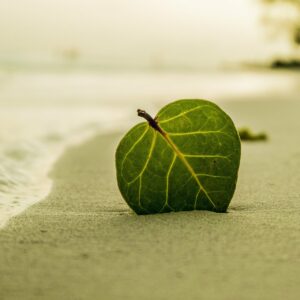 Relaxation voyage sur une ile imaginaire